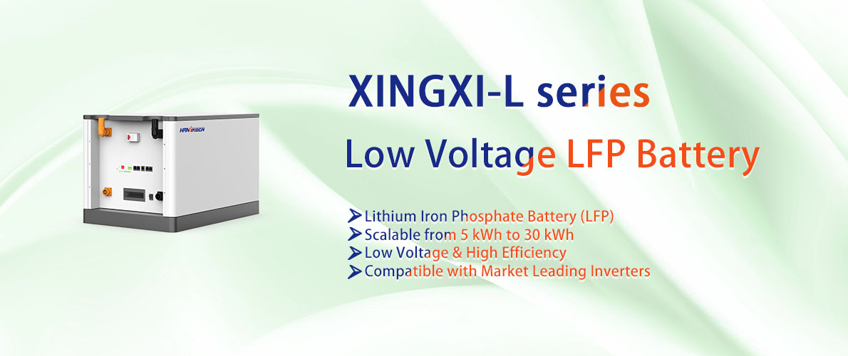 Low Voltage LFP Battery
